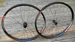 Dt Swiss XM481 29" - Xentis - Panchowheels custom handbuildt wheelset